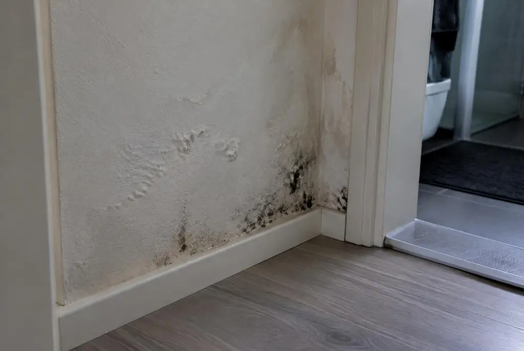 Lekdetectie Bunschoten – vochtplek met schimmel op een muur